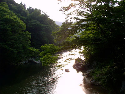Tama River