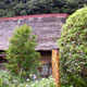 Japanese thatched house