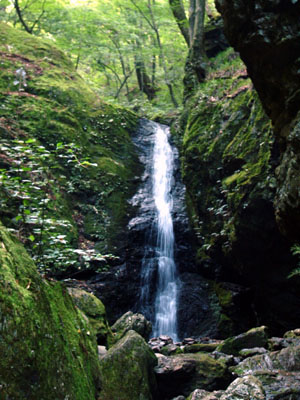 Ayahiro no taki waterfall