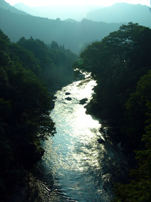 Tama river