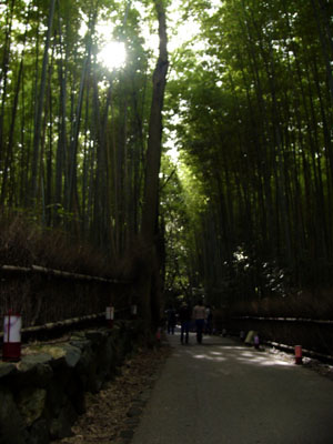 Bamboo street